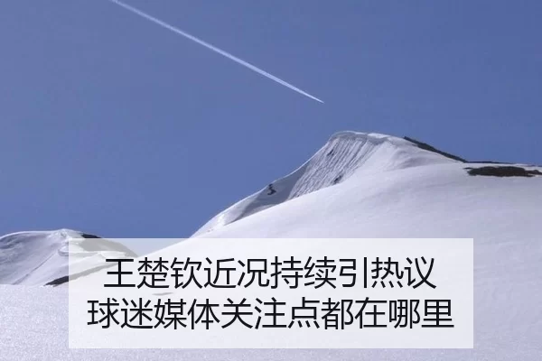 王楚钦近况持续引热议 球迷媒体关注点都在哪里